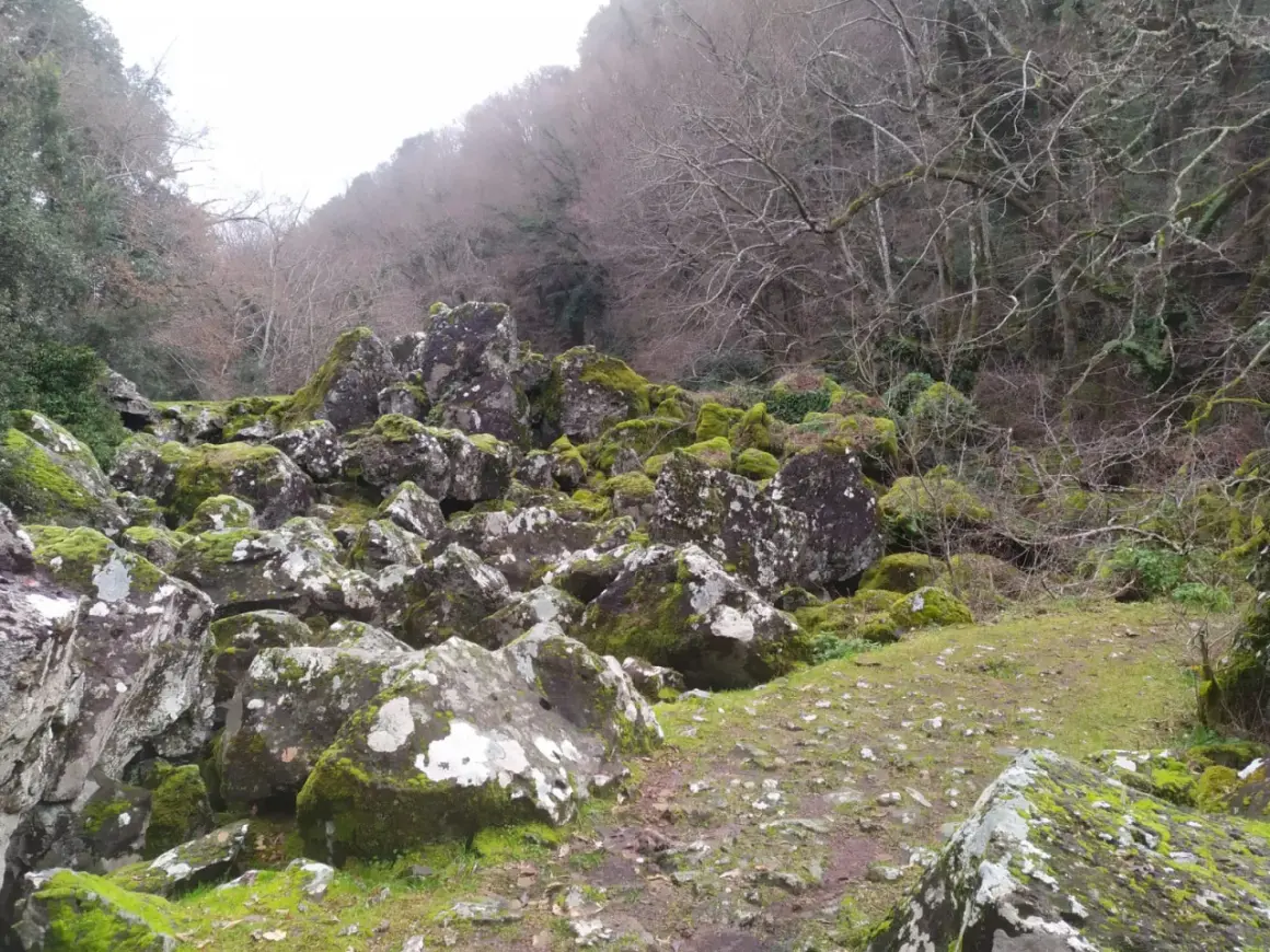 Rocce muschiate e alberi spogli nel bosco delle fate di Acquapendente, un luogo incantato dove la natura regna sovrana.
