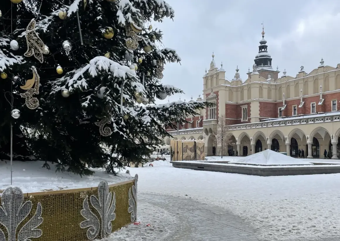 Świąteczna choinka na Rynku Głównym w Krakowie, zimą. W tle Sukiennice. Piękne kraków atrakcje zimą.