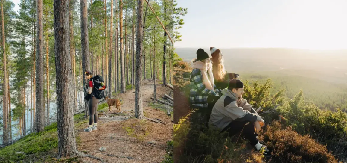 Vandrare med hund i skogen nära Umeå. Vänner njuter av utsikten över landskapet. Umeå natur i sin vackraste form.