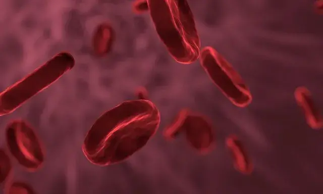 MCH w morfologii: Co oznacza i jakie są normy?