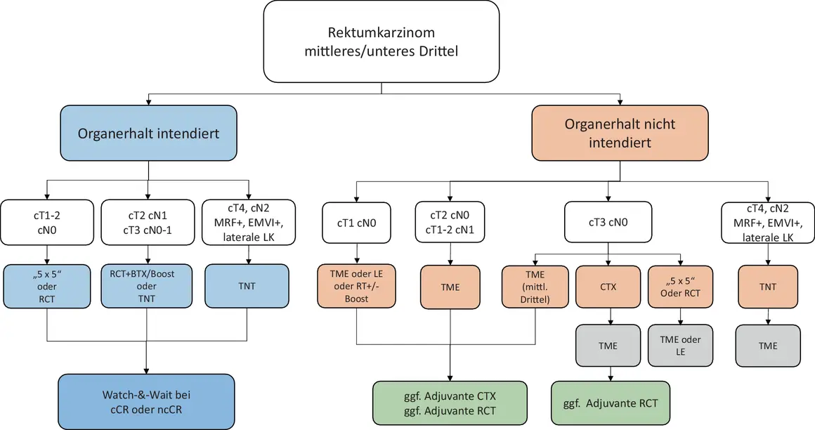 Flussdiagramm zu Rektumkarzinom Stadien: Organerhalt intendiert vs. nicht intendiert, mit Therapieoptionen je nach Tumorstadium (cT/cN).
