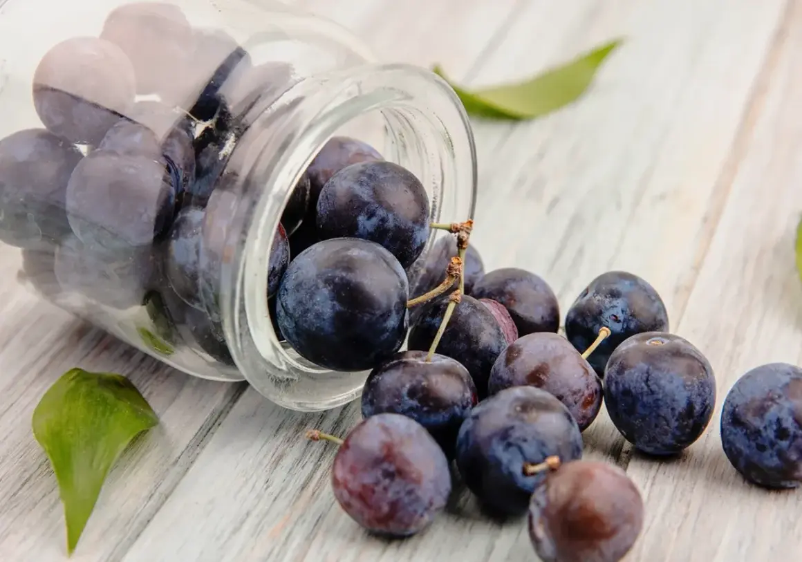 Frische Pflaumen rollen aus einem Glas. Sie sind reich an Antioxidantien, die die resveratrol wirkung unterstützen können.