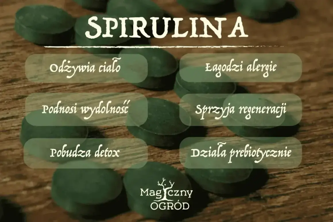 Spirulina właściwości: odżywia ciało, łagodzi alergie, podnosi wydolność, sprzyja regeneracji, pobudza detox, działa prebiotycznie.