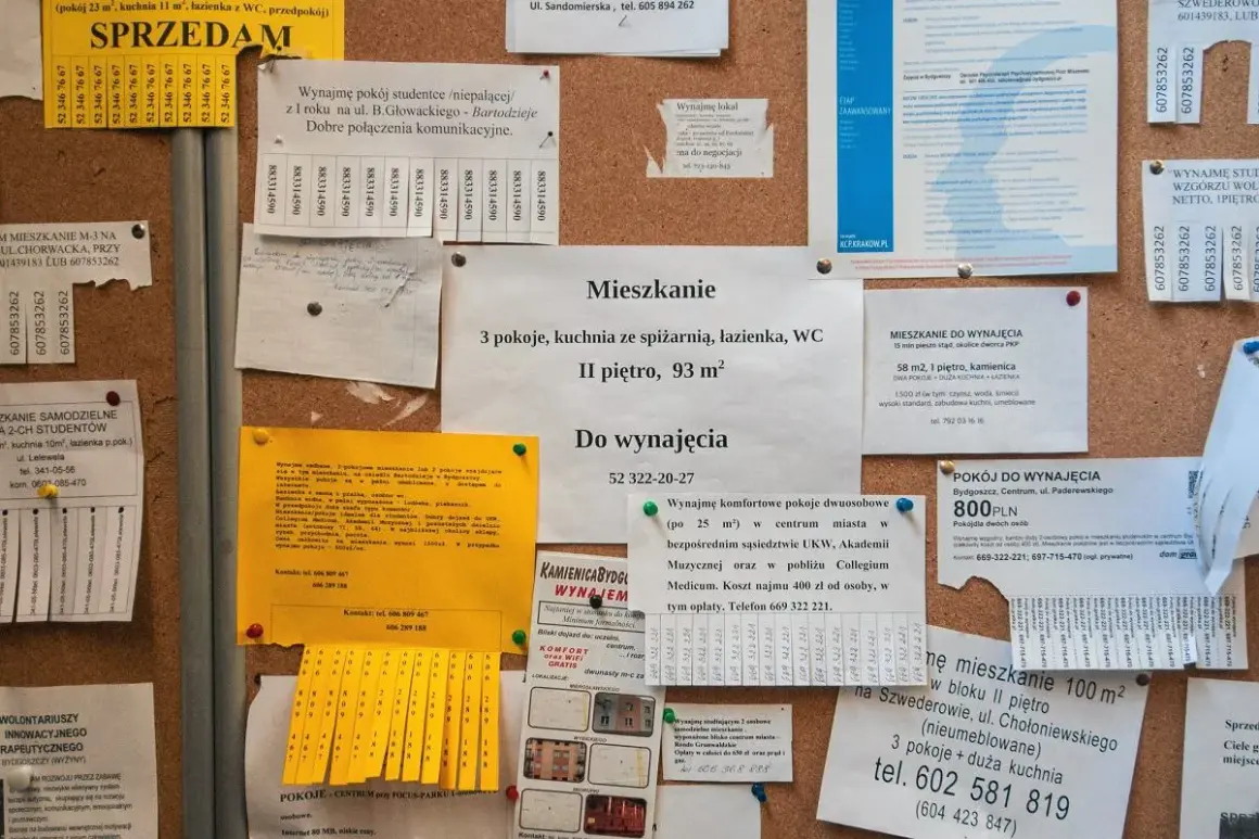 Ogłoszenia na tablicy korkowej: wynajem mieszkań i pokoi, jak sprawdzić właściciela mieszkania, sprzedam.