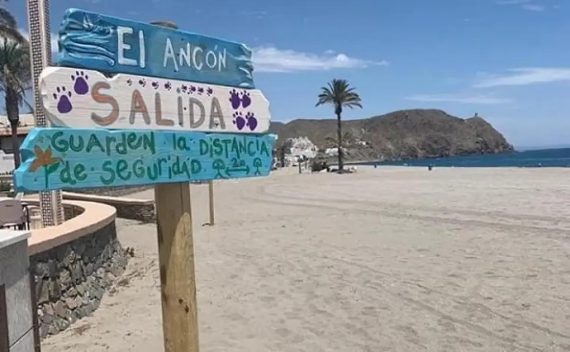 Cartel en la playa El Ancón, Carboneras: "Salida. Guarden la distancia de seguridad". Palmera y mar al fondo.