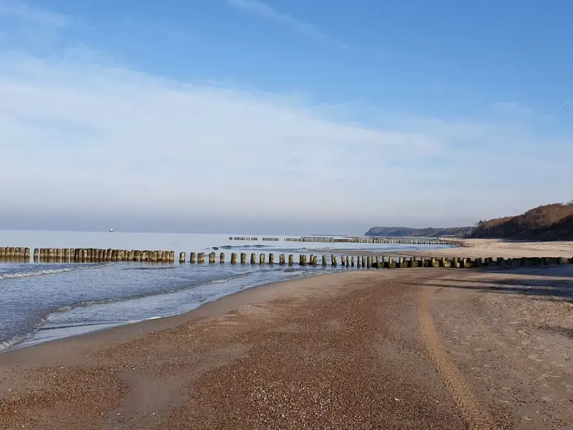 Plaża nad Bałtykiem z drewnianymi falochronami i łagodnymi falami.