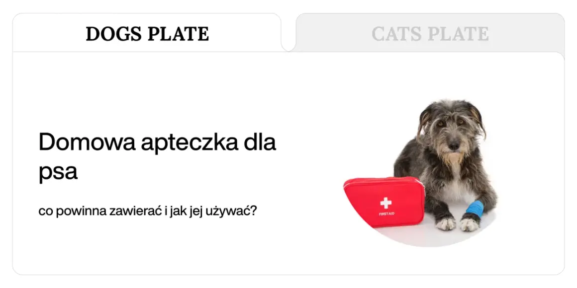 Pies z opatrzoną łapą i apteczką. Poznaj domowe sposoby na rany u psa i jak przygotować psią apteczkę.