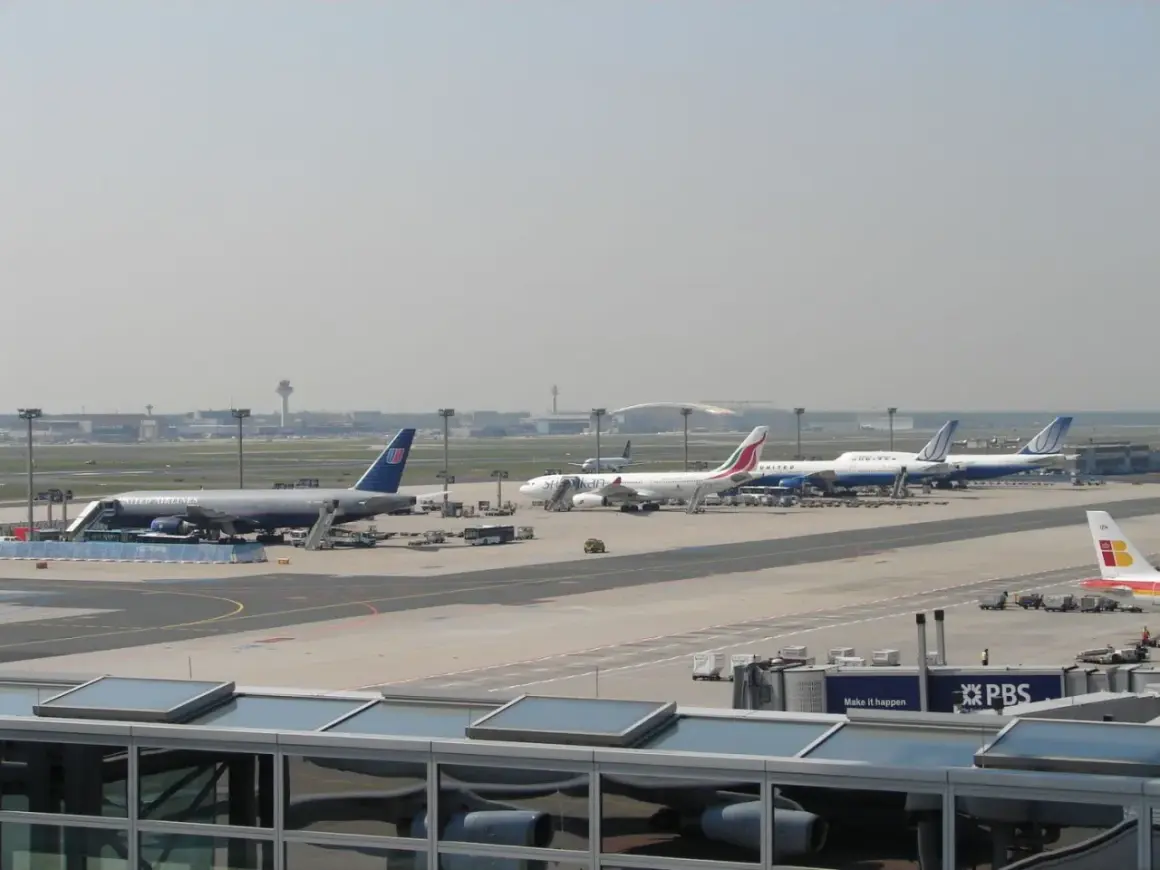Samoloty United Airlines i innych linii lotniczych na płycie lotniska Frankfurt nad Odrą.