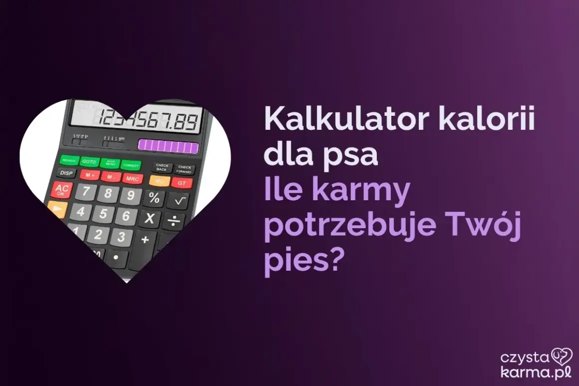Kalkulator kalorii dla psa pomoże Ci obliczyć, ile suchej karmy dla psa potrzebuje Twój pupil.