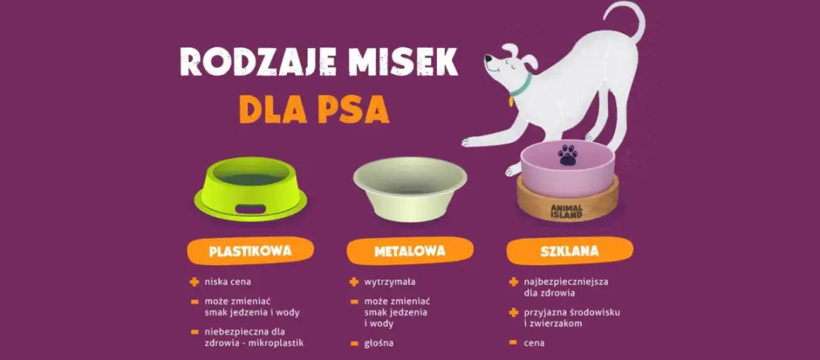 Jaka miska dla psa? Porównanie misek plastikowych, metalowych i szklanych. Miska szklana jest najbezpieczniejsza dla zdrowia i przyjazna środowisku.
