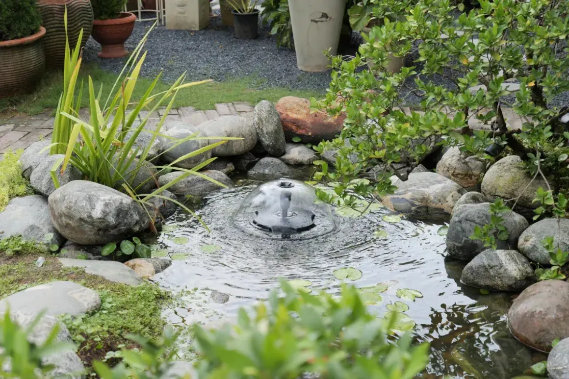Un bassin d'eau avec une fontaine bulle, entouré de rochers et de verdure. Idéal pour fabriquer une cascade en bois.