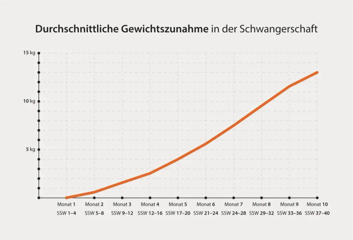 Grafik zeigt die durchschnittliche Gewichtszunahme in der Schwangerschaft. Die Zunahme steigt von ca. 1 kg in Monat 1 auf fast 14 kg in Monat 10.
