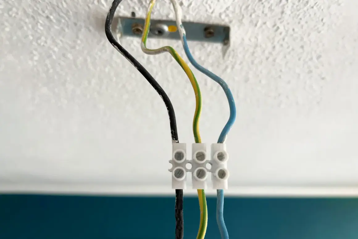 Drei Kabel (schwarz, grün-gelb, blau) sind mit einer Klemme verbunden, bereit zum Lampe abmontieren.