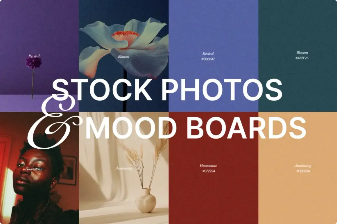 A mood board showcasing diverse stock photos and color palettes, from a single purple flower to a dramatic portrait, illustrating what a mood board is.