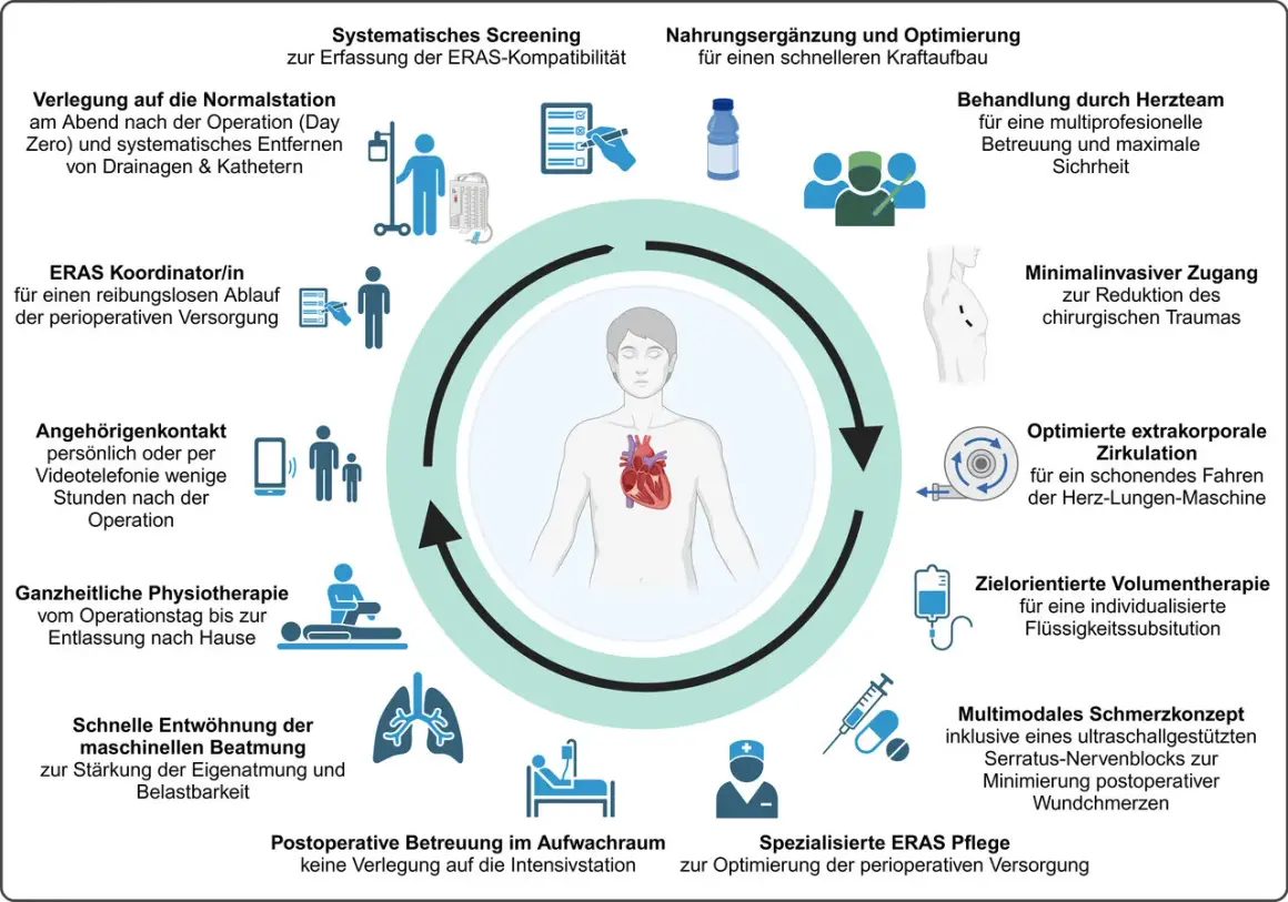 Das ERAS Konzept zeigt den Kreislauf der perioperativen Versorgung mit Fokus auf Patientenzentrierung und schnelle Genesung.