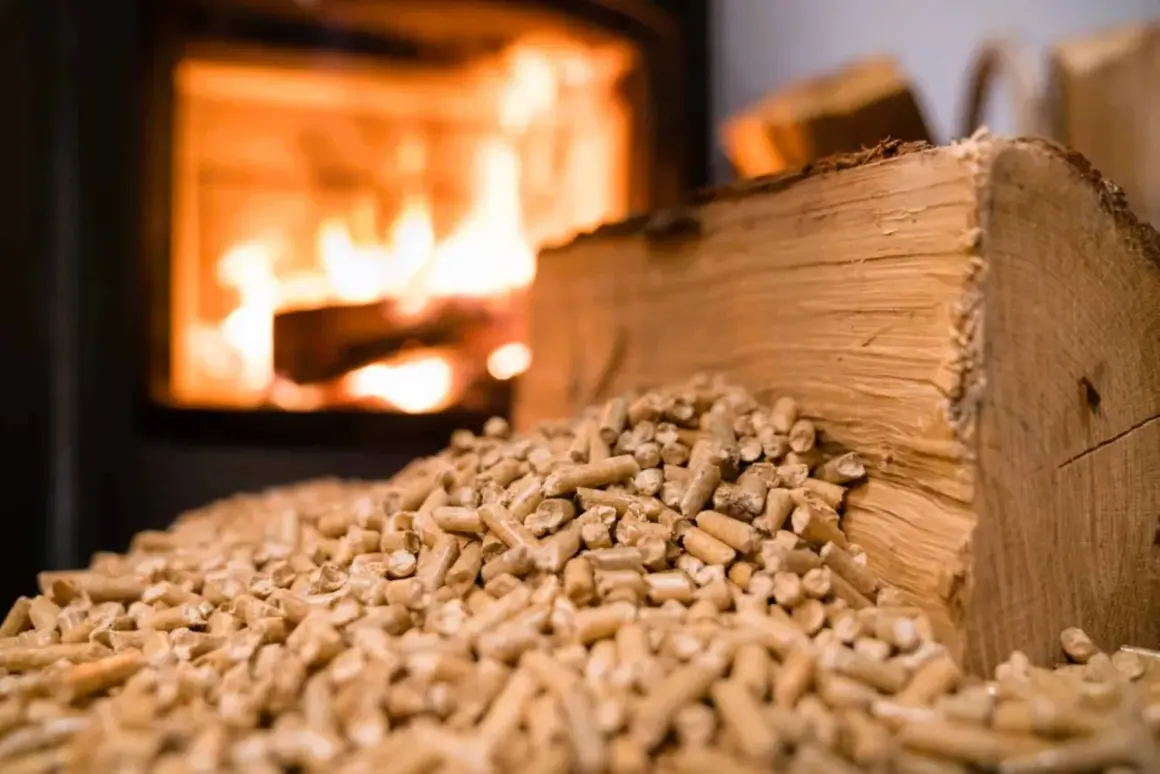 Un tas de granulés de bois devant un poêle à bois crépitant. Une bûche de bois repose sur les granulés, prête à être utilisée.