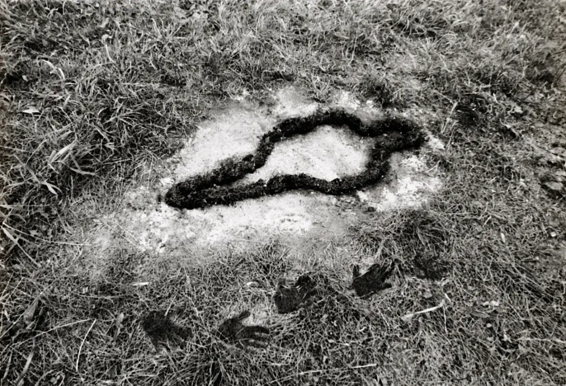 A dark, organic shape resembling a snake or a twisted rope lies in a patch of light soil, surrounded by grass. Handprints are visible in the foreground, part of the silueta series.