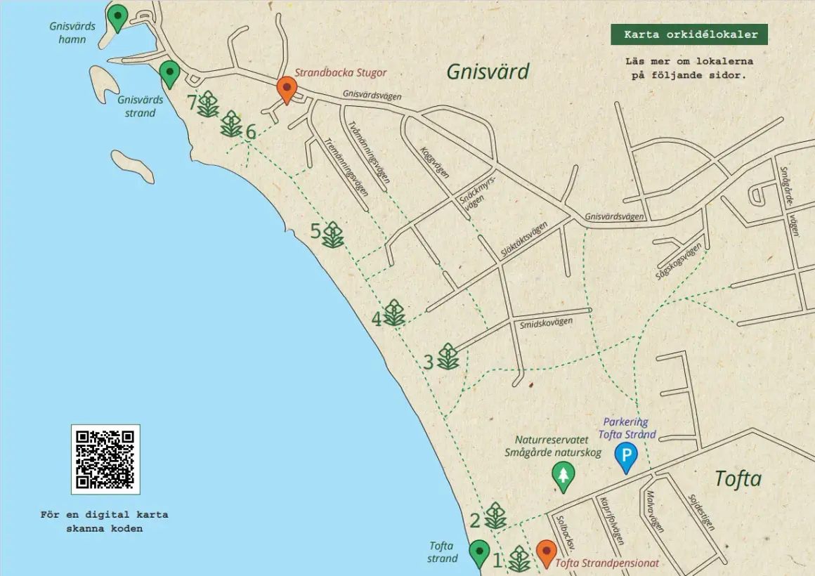 Karta över Gnisvärd och Tofta strand, med markerade orkidélokaler och en kuststigen karta. QR-kod för digital karta.