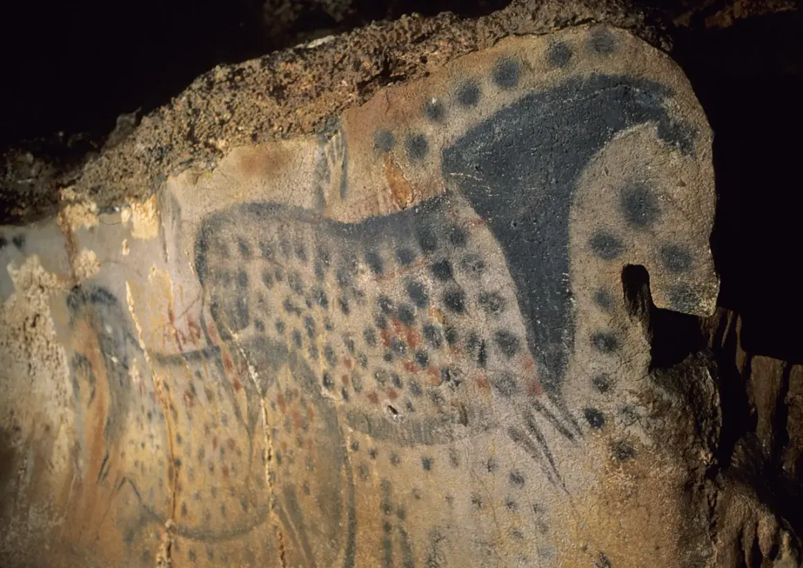 Peintures rupestres des grottes du Pech Merle : un cheval tacheté noir et rouge, une œuvre d'art préhistorique.