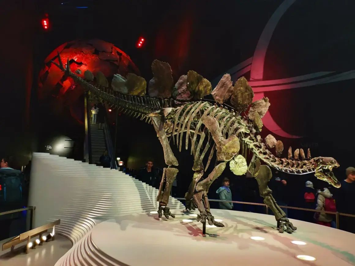 Szkielet dinozaura w muzeum w Londynie, z czerwoną kulą i schodami w tle.