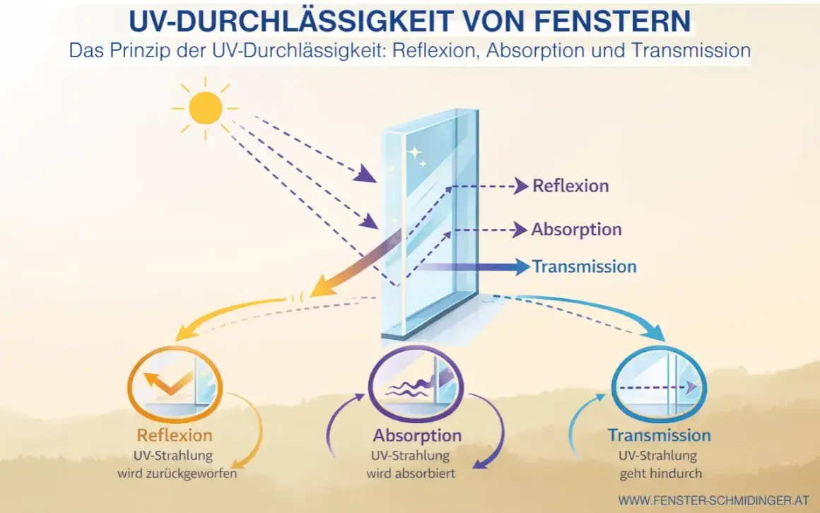 Grafik erklärt, wie UV-Strahlung durch Glas reflektiert, absorbiert oder transmittiert wird. Sonne sendet Strahlen, die am Fenster teils zurückgeworfen, teils vom Glas geschluckt und teils durchgelassen werden.