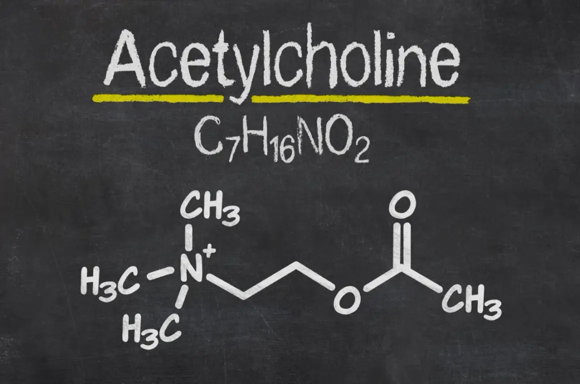 Struktura chemiczna acetylocholiny, kluczowego neuroprzekaźnika, narysowana kredą na tablicy.