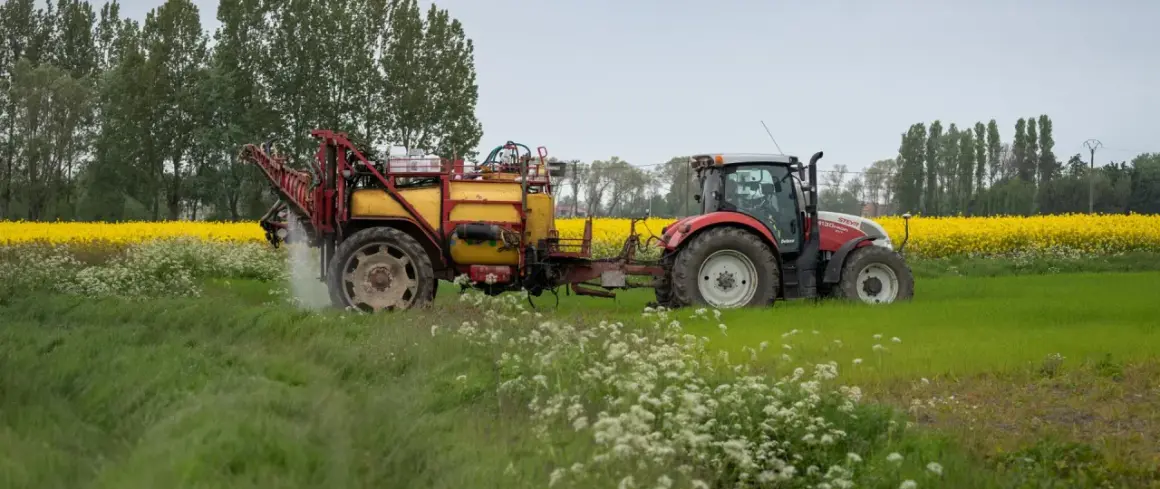 Ciągnik z opryskiwaczem pracuje na polu w słoneczny dzień. W tle kwitnie rzepak, a na pierwszym planie zielona trawa. Idealna pogoda na majowe prace polowe.