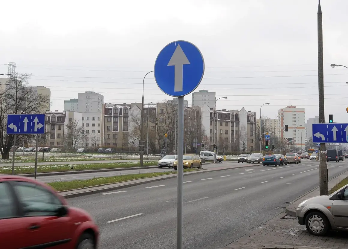 Znak drogowy jednokierunkowy z białą strzałką w górę na niebieskim tle. Po lewej stronie znak nakazu jazdy prosto lub skrętu w lewo.