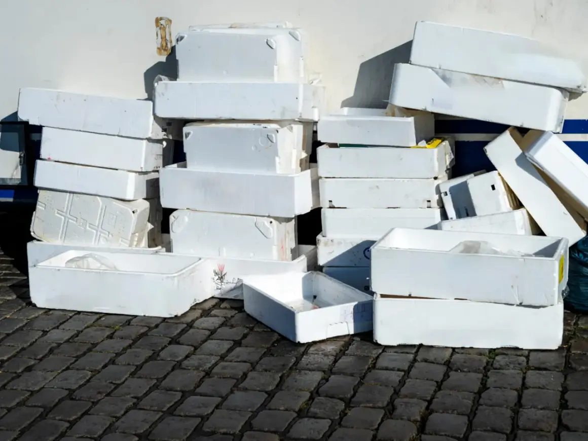 Stosy białych pojemników ze styropianu, które mogą być użyte do transportu ryb lub innych produktów. Zastanawiasz się, gdzie oddać styropian? Tutaj znajdziesz odpowiedź.