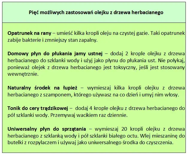 Do czego służy olejek z drzewa herbacianego? Poznaj jego mocne właściwości