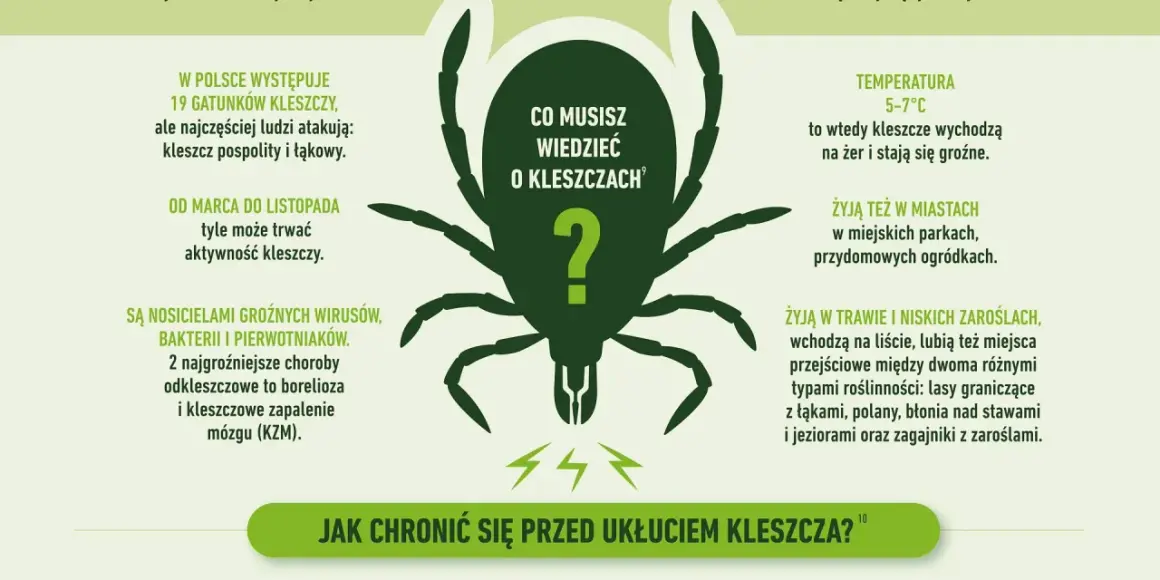 Kleszcze przenoszą boreliozę i kleszczowe zapalenie mózgu. Aktywne od marca do listopada, żyją w trawie, parkach i lasach.