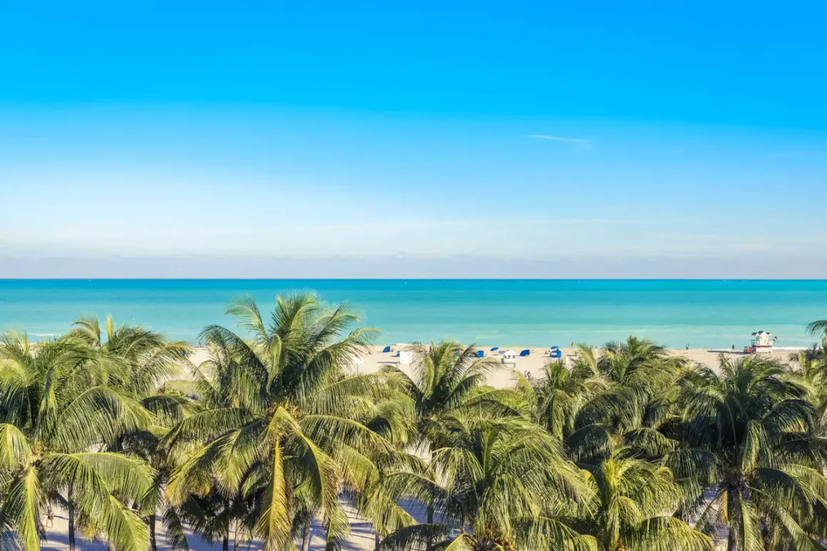 Palmer träd mot en turkos ocean och en klarblå himmel. En strand med parasoller och en livräddartorn anas i fjärran, en perfekt vy för en dröm om flygtid Florida.