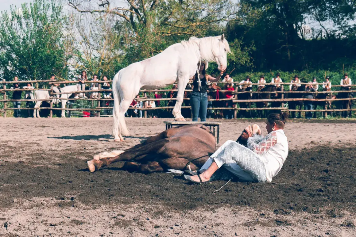 Daniel Colangeli in scena con cavalli e pubblico. Un cavallo bianco in piedi su un palco, uno marrone a terra, e una persona in abiti scintillanti.