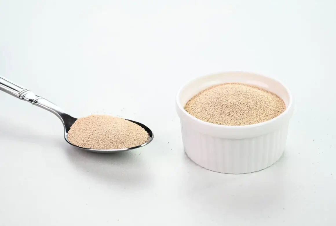Levure sèche dans une cuillère et un ramequin blanc. Comprendre la différence entre levure chimique et bicarbonate de soude est essentiel pour la pâtisserie.