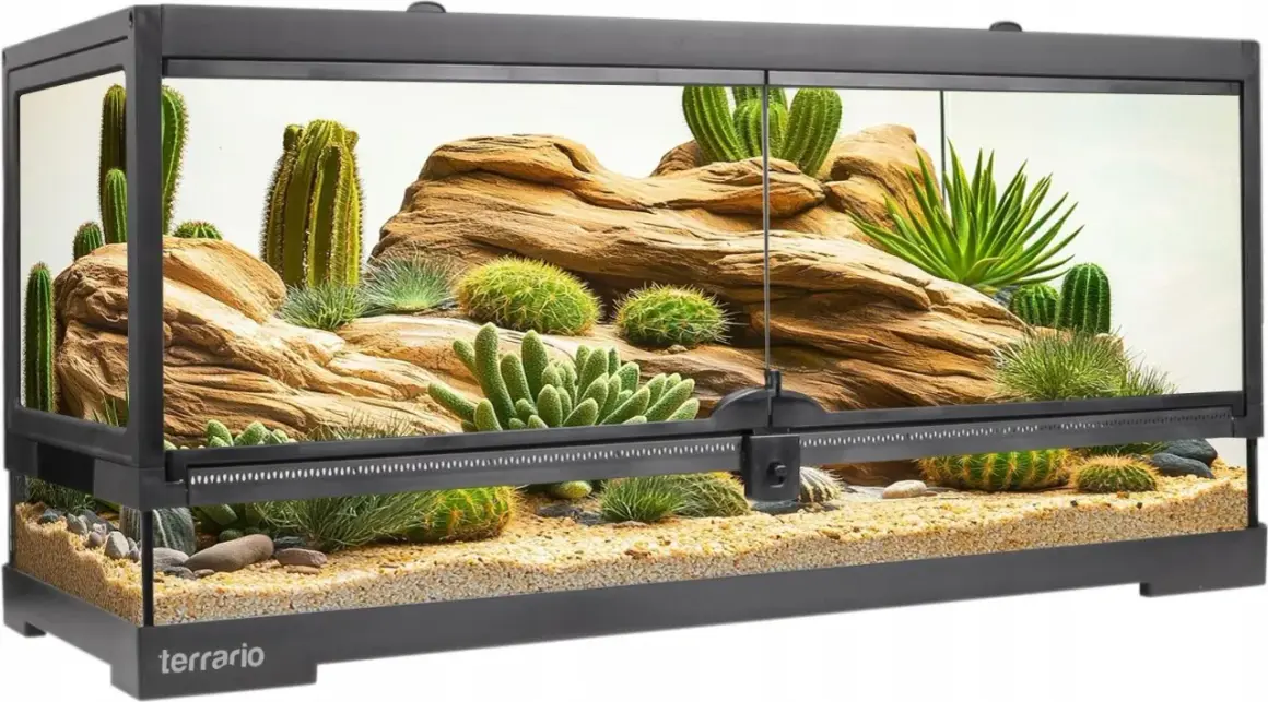 Pierwsze zwierzę do terrarium? Gekon, wąż, ptasznik kompletny przewodnik