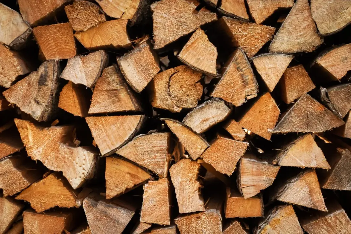 Stapel von gespaltenem Holz, einige Stücke zeigen deutliche Jahresringe, was auf eschen hartholz oder weichholz hindeutet.