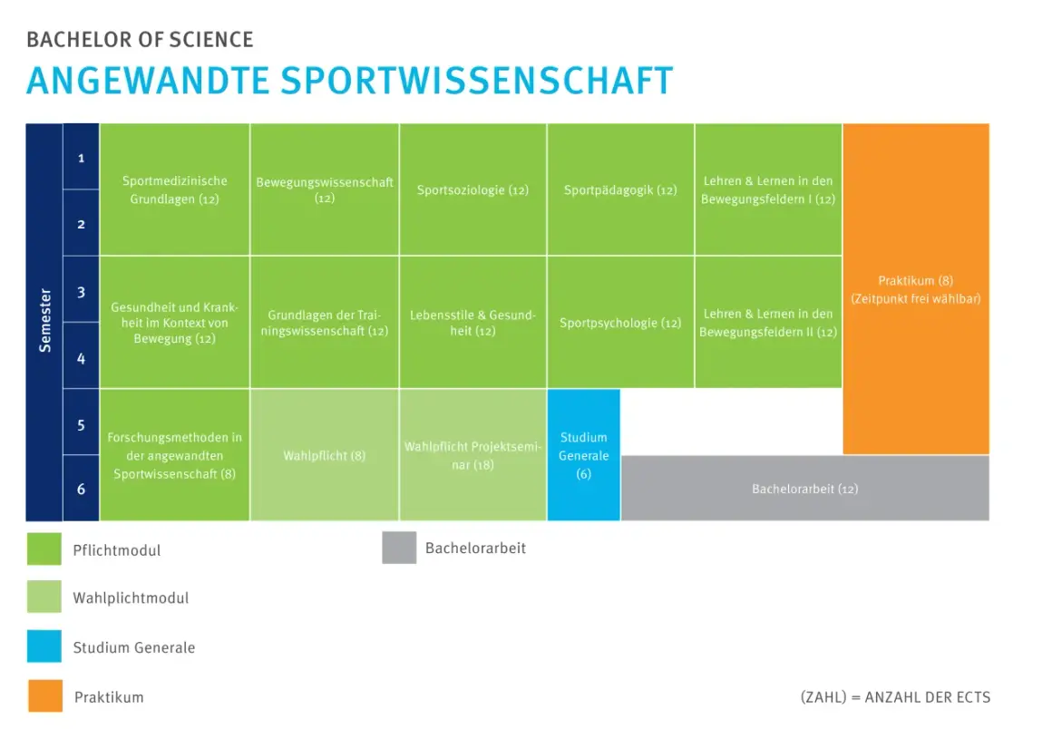 Studienplan für Angewandte Sportwissenschaft: Pflicht- und Wahlpflichtmodule, Praktikum und Bachelorarbeit im Sportmanagement.