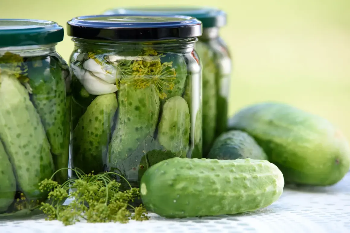Burkar med inlagd gurka, vitlök och dill. Perfekt för ett gott saltgurka recept.