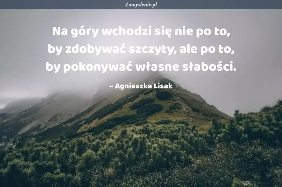 Góry w mglistym krajobrazie. Cytaty o zdobywaniu szczytów przypominają, że prawdziwe zwycięstwo to pokonanie własnych słabości.