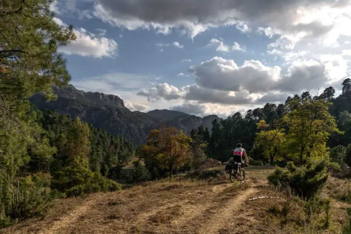 Ciclista en ruta GR 247 en bici, pedaleando por un sendero entre pinos y montañas bajo un cielo nublado.