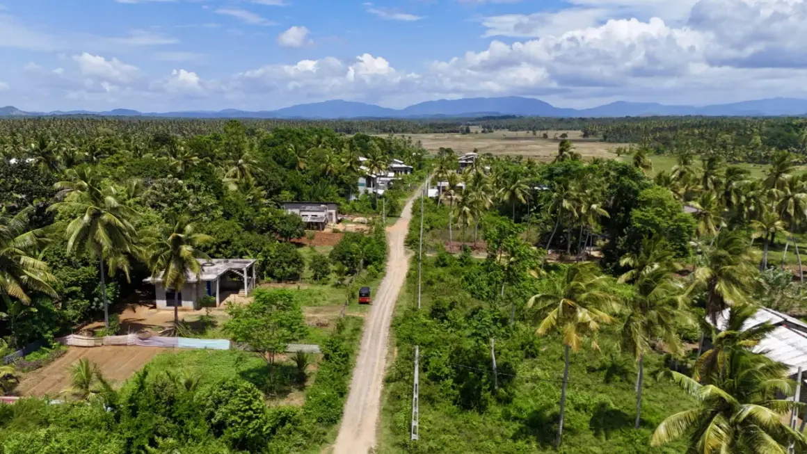 Droga przez palmy i pola, domy, tuk-tuk. Czy Sri Lanka jest bezpiecznie? Spokojna wieś, zieleń, góry w oddali.