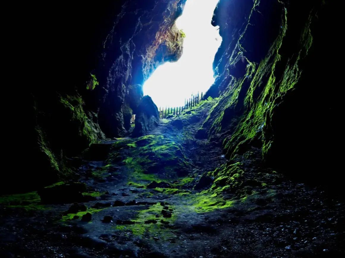 El sendero musgoso de Cova das Choias se abre hacia una luz brillante, invitando a explorar sus misterios verdes y rocosos.
