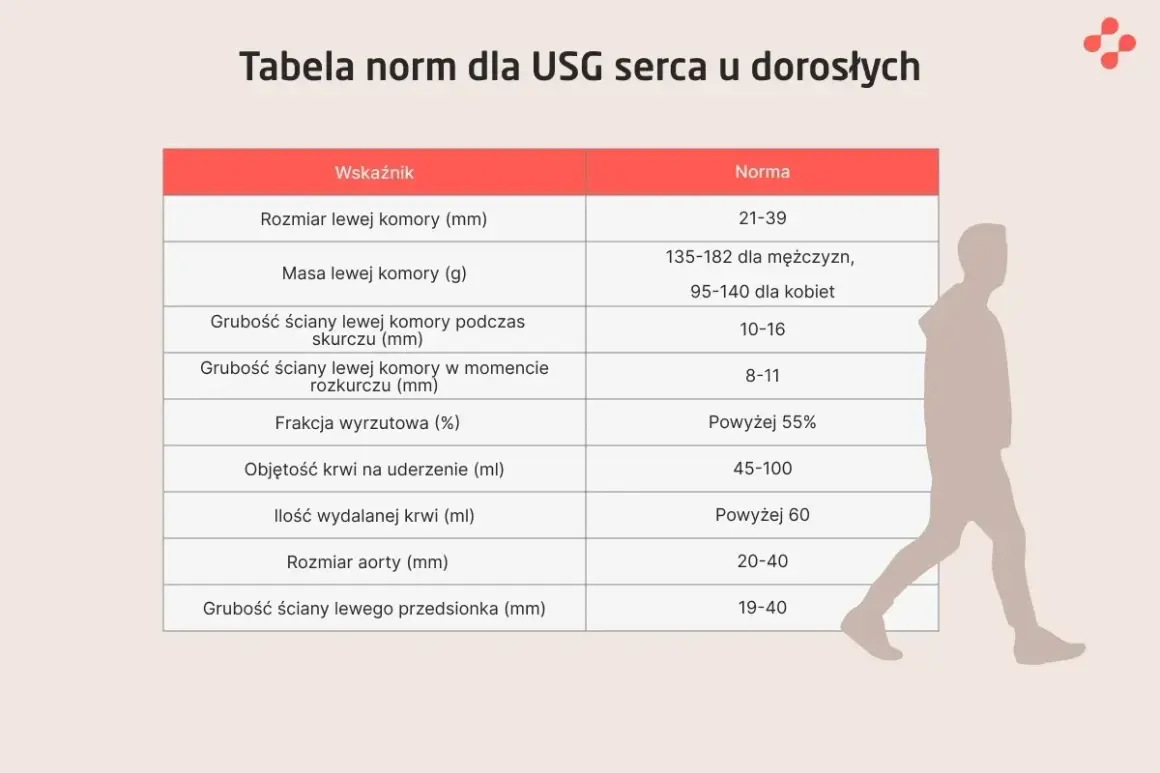 Tabela norm dla USG serca. Wskazuje parametry, które echo serca co wykrywa: rozmiar, masę, grubości ścian, frakcję wyrzutową, objętość krwi i rozmiar aorty.
