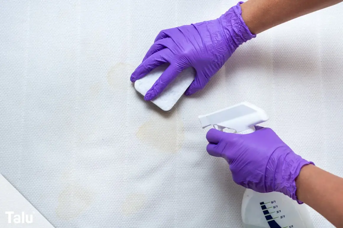 Mit lila Handschuhen wird erbrochenes aus Sofa entfernen hausmittel angewendet. Ein Schwamm tupft die Flecken, während eine Sprühflasche daneben steht.