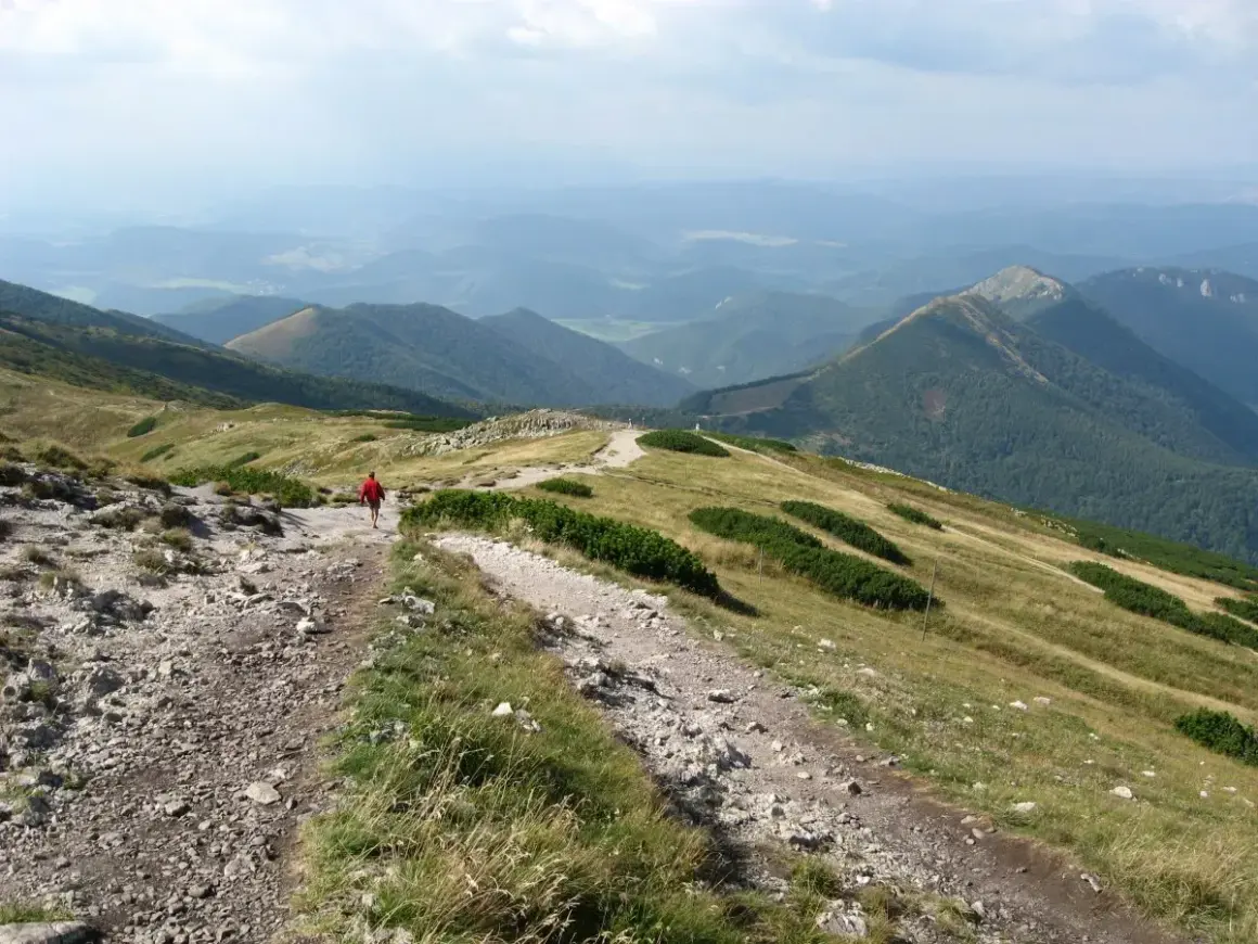 Wędrówka po górach Słowacji na weekend. Widok na zielone wzgórza i doliny, kamienista ścieżka, samotny turysta w czerwonej kurtce.