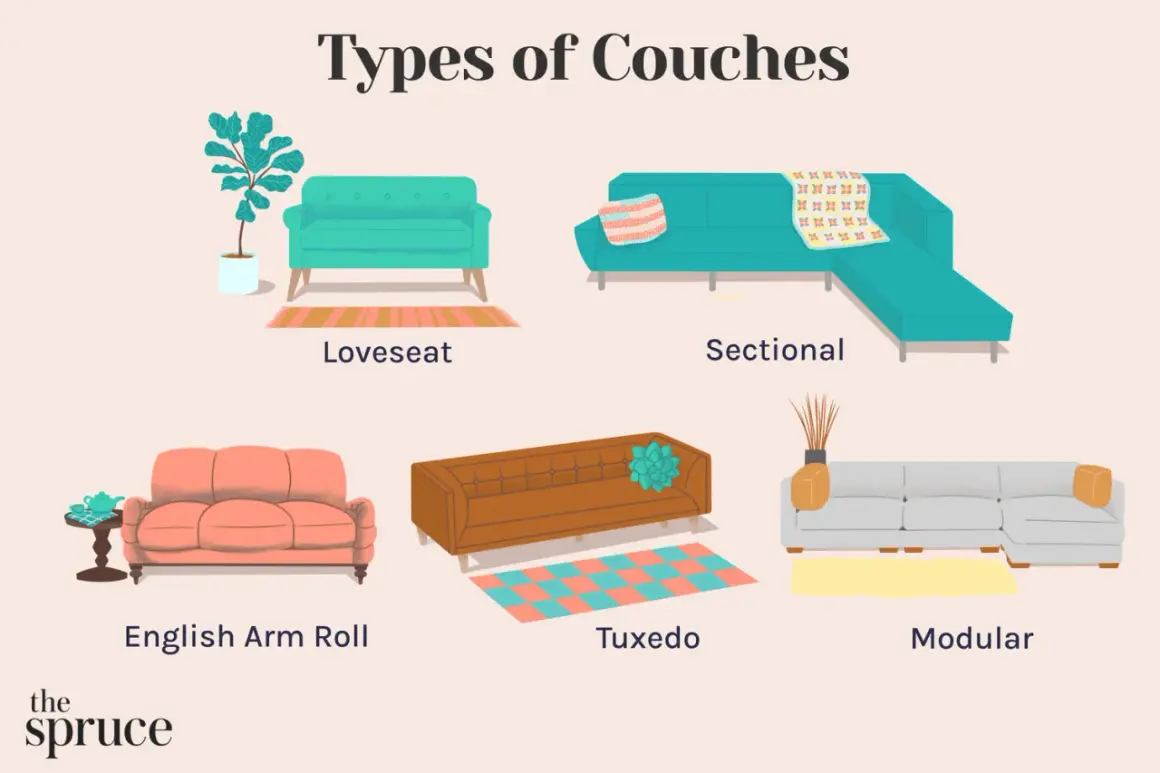 Illustration showcasing different types of couches: loveseat, sectional, English arm roll, tuxedo, and modular.