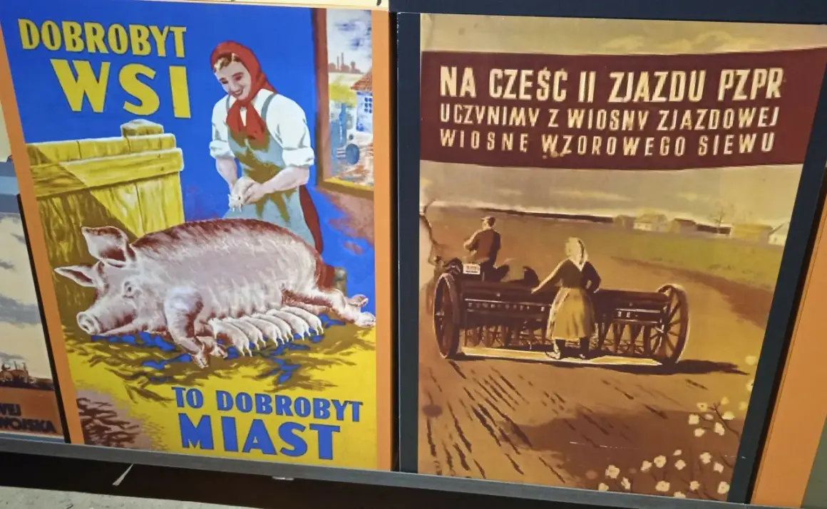 Dwa polskie plakaty propagandowe: jeden z prosiakami i kobietą, drugi z rolnikami przy siewie.