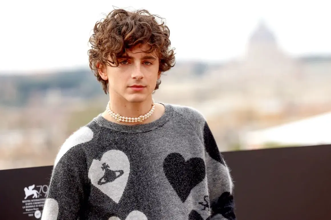 Timothée Chalamet con un ciuffo a tendina uomo, indossa un maglione grigio con cuori e una collana di perle.