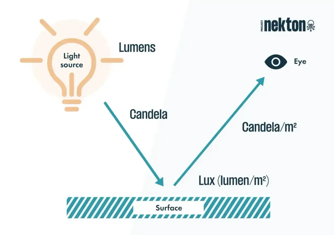 Schemat wyjaśnia jednostkę natężenia oświetlenia: od źródła światła (lumeny) przez świecę (candela) do luxu (lumen/m²) na powierzchni i postrzegania przez oko (candela/m²).