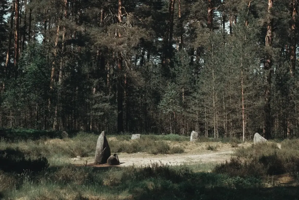 Kamienne kręgi w lesie, tajemniczy szlak kamiennych kręgów, gdzie historia splata się z naturą.